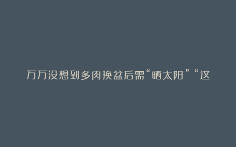 万万没想到多肉换盆后需“晒太阳”?“这样做”根系壮,上色快,35天长满盆