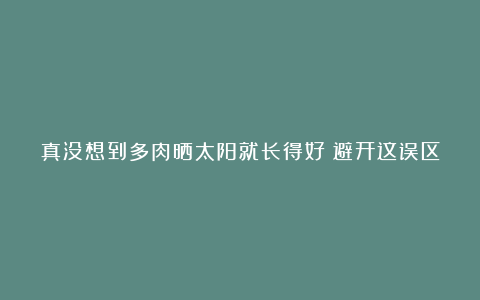 真没想到多肉晒太阳就长得好?避开这误区,这才是多肉晒太阳的正确姿势!