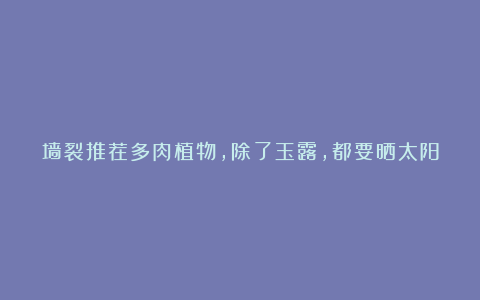 墙裂推荐多肉植物,除了玉露,都要晒太阳,缺光会变绿,还会徒长!