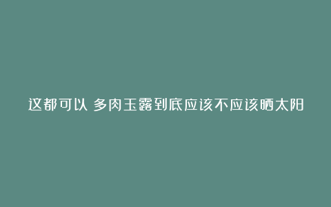 这都可以?多肉玉露到底应该不应该晒太阳,大神们是这样说的