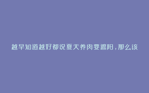 越早知道越好都说夏天养肉要遮阳,那么该如果给肉肉晒太阳?