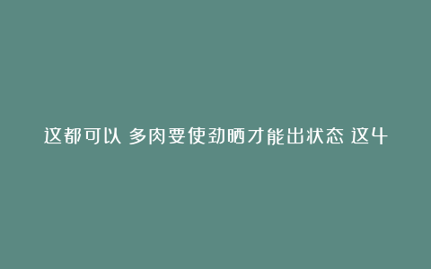 这都可以?多肉要使劲晒才能出状态?这4种多肉“怕晒”,暴晒难养好