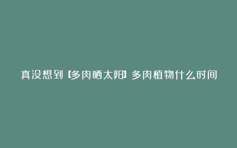 真没想到【多肉晒太阳】多肉植物什么时间适合晒太阳?