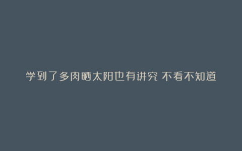 学到了多肉晒太阳也有讲究?不看不知道!