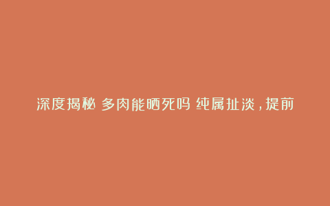 深度揭秘多肉能晒死吗?纯属扯淡,提前适应室外环境,夏天不怕晒