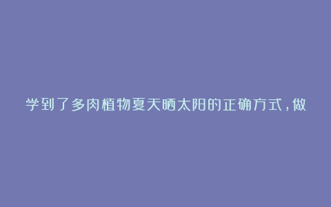 学到了多肉植物夏天晒太阳的正确方式,做得好,能让叶片漂亮不发软!