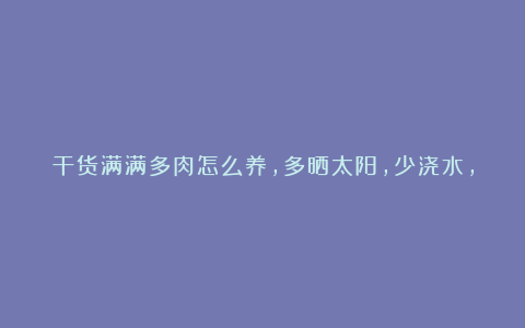 干货满满多肉怎么养,多晒太阳,少浇水,你也能够养好!