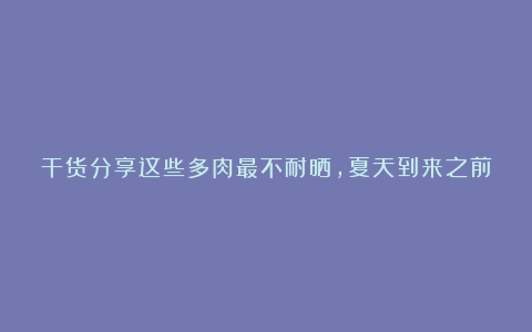 干货分享这些多肉最不耐晒,夏天到来之前,就应该遮光养,防止晒伤