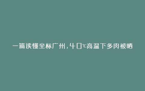 一篇读懂坐标广州,40℃高温下多肉被晒焦了,这个夏天养多肉太难了