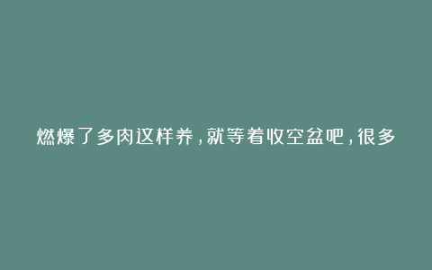 燃爆了多肉这样养,就等着收空盆吧,很多人不了解,还在坚持错误方法