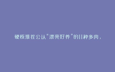 硬核推荐公认“漂亮好养”的11种多肉,遇冷就变红,越冻越美貌