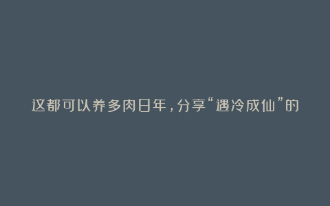 这都可以养多肉8年,分享“遇冷成仙”的10种多肉,冬天那叫一个仙气飘飘