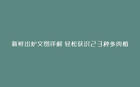 新鲜出炉文图详解:轻松获识23种多肉植物的名称