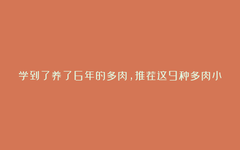 学到了养了6年的多肉,推荐这9种多肉小可爱,快来看看哪种多肉萌到了你