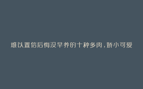 难以置信后悔没早养的十种多肉,娇小可爱惹人爱,新手也能养出状态!