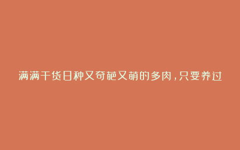 满满干货8种又奇葩又萌的多肉,只要养过其中6种,都属于资深多肉迷哦