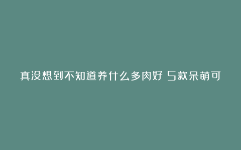 真没想到不知道养什么多肉好?5款呆萌可爱的多肉,“颜值高”又好养!
