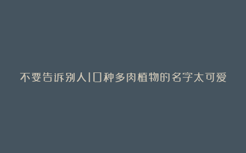 不要告诉别人10种多肉植物的名字太可爱,恨不得马上买回家