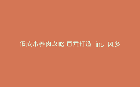 低成本养肉攻略:百元打造 ins 风多肉角