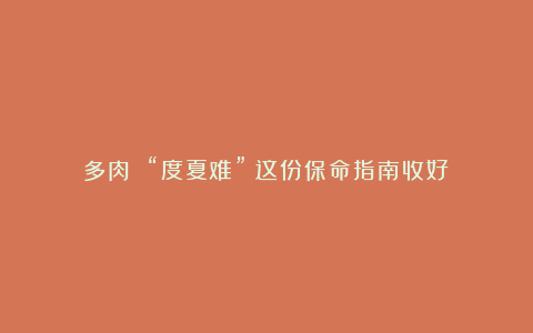 多肉 “度夏难”?这份保命指南收好