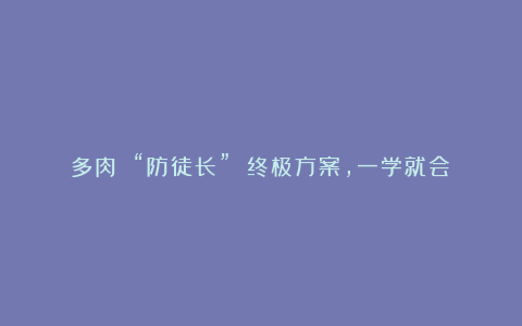 多肉 “防徒长” 终极方案,一学就会