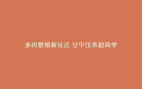 多肉繁殖新玩法:空中压条超简单