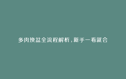 多肉换盆全流程解析,新手一看就会