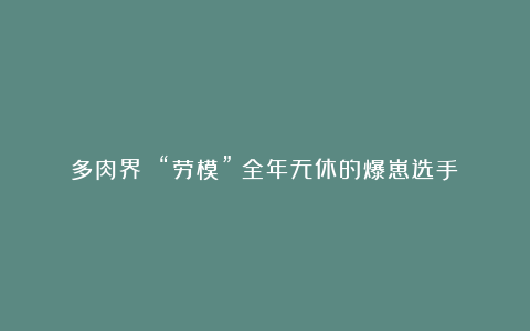 多肉界 “劳模”:全年无休的爆崽选手