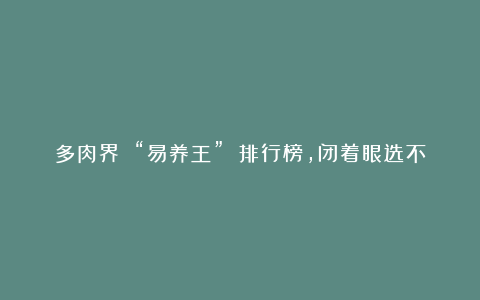 多肉界 “易养王” 排行榜,闭着眼选不踩雷