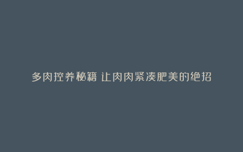 多肉控养秘籍:让肉肉紧凑肥美的绝招