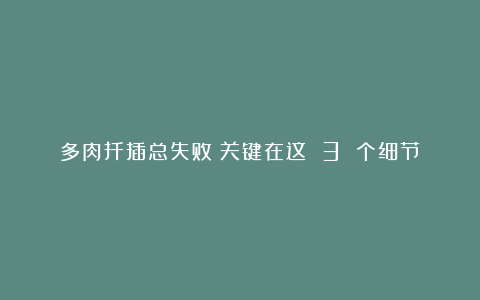 多肉扦插总失败?关键在这 3 个细节