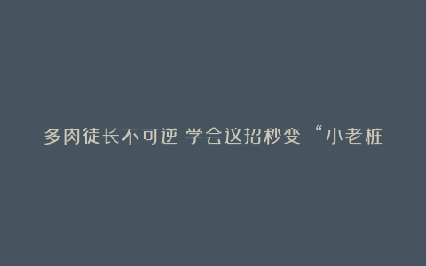 多肉徒长不可逆?学会这招秒变 “小老桩”