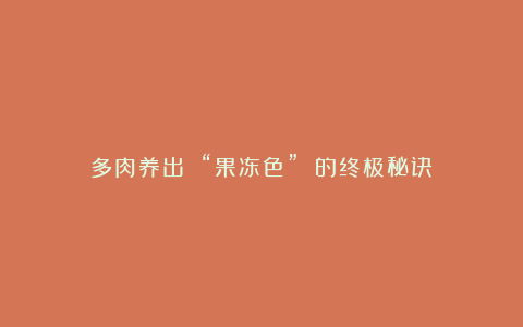 多肉养出 “果冻色” 的终极秘诀