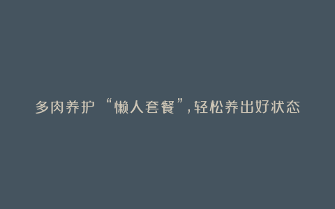 多肉养护 “懒人套餐”,轻松养出好状态