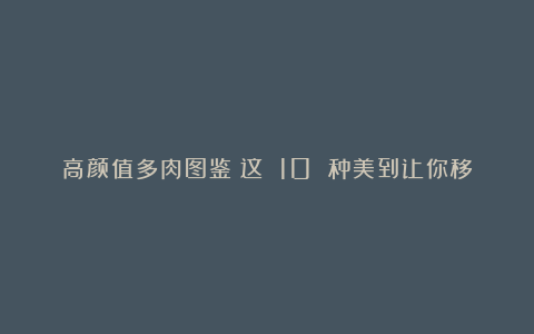 高颜值多肉图鉴:这 10 种美到让你移不开眼