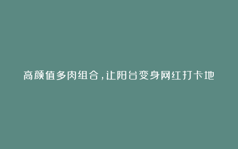 高颜值多肉组合，让阳台变身网红打卡地​
