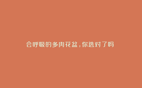 会呼吸的多肉花盆,你选对了吗?
