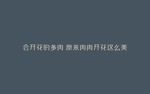 会开花的多肉!原来肉肉开花这么美