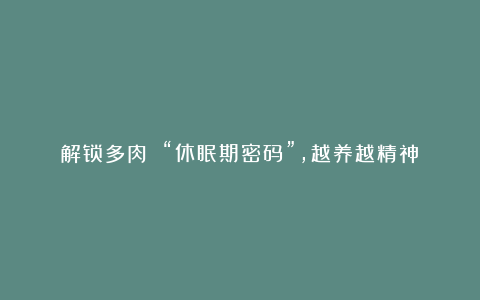解锁多肉 “休眠期密码”,越养越精神