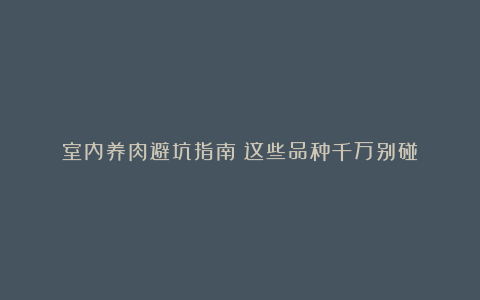 室内养肉避坑指南:这些品种千万别碰