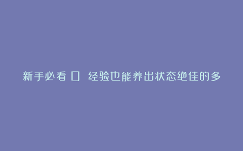 新手必看!0 经验也能养出状态绝佳的多肉