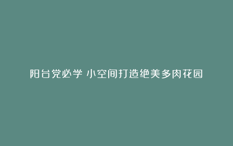阳台党必学!小空间打造绝美多肉花园