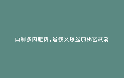 自制多肉肥料,省钱又爆盆的秘密武器