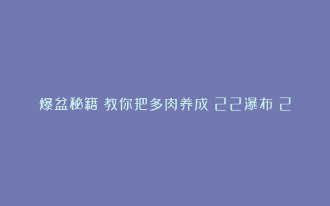 爆盆秘籍!教你把多肉养成%22瀑布%22景观