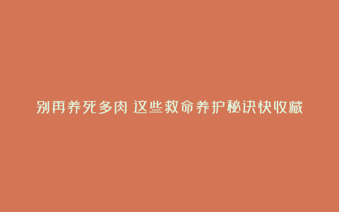 别再养死多肉!这些救命养护秘诀快收藏