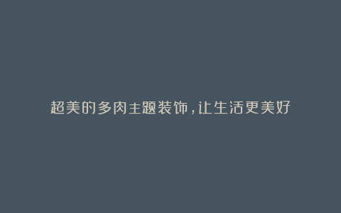 超美的多肉主题装饰,让生活更美好