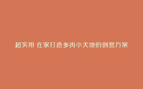超实用！在家打造多肉小天地的创意方案