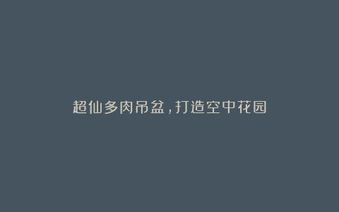 超仙多肉吊盆,打造空中花园