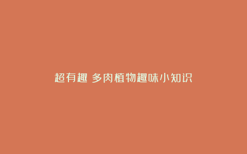 超有趣!多肉植物趣味小知识