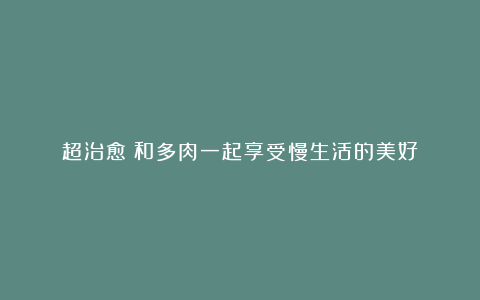 超治愈!和多肉一起享受慢生活的美好